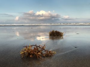 Cocoa Beach